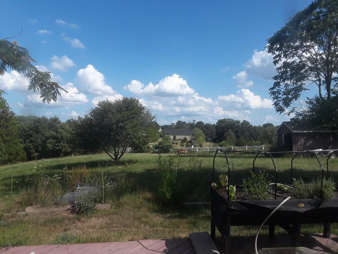 992 Broad Ln #NA - Photo 2 of 9