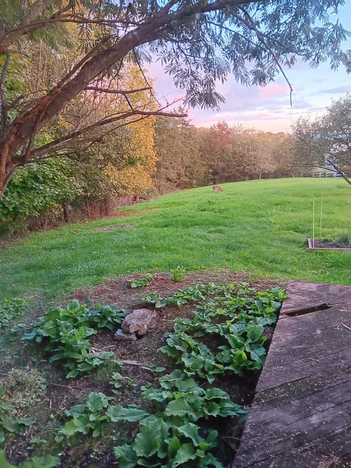 992 Broad Ln #NA - Photo 3 of 9