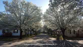 Deer Run - Photo 1 of 1