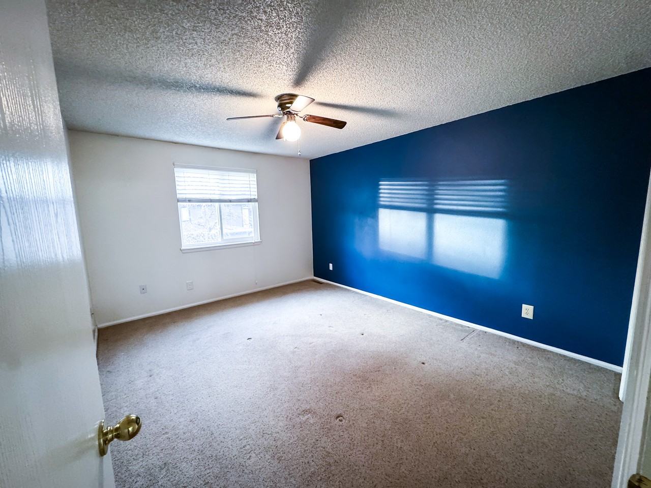 220 E 8th Ave #220 - Photo 6 of 10