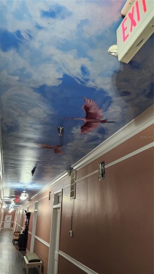 UNKNOWN - Photo 6 of 12