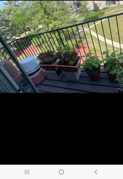 9460 Bay Colony Dr Apt 3n #3N - Photo 4 of 13