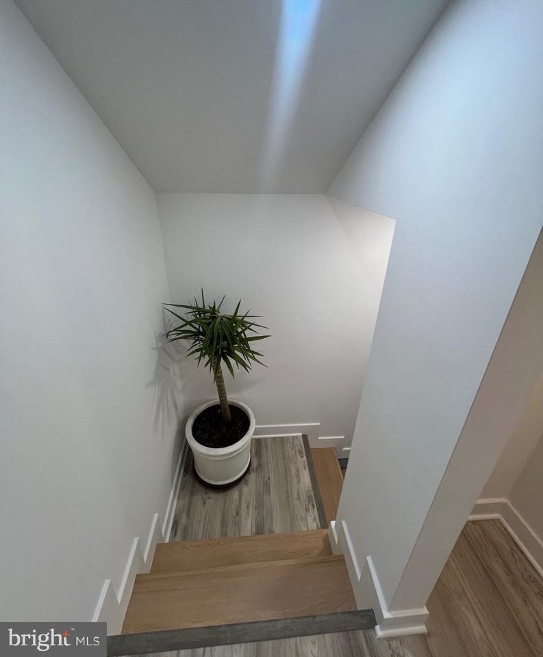 169 Lawn Park Ave - Photo 5 of 15