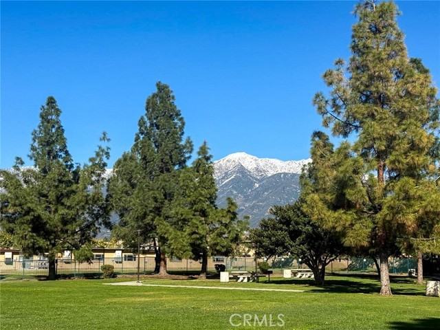 11847 Worcester Dr - Photo 5 of 28