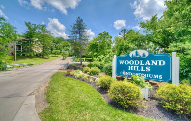 66 View Terrace Dr #9 - Photo 2 of 14