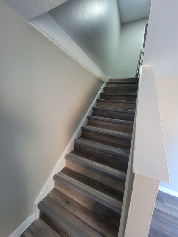 310 Duane St #3 - Photo 7 of 15