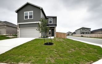 11803 Red Pheasant - Photo 1 of 1