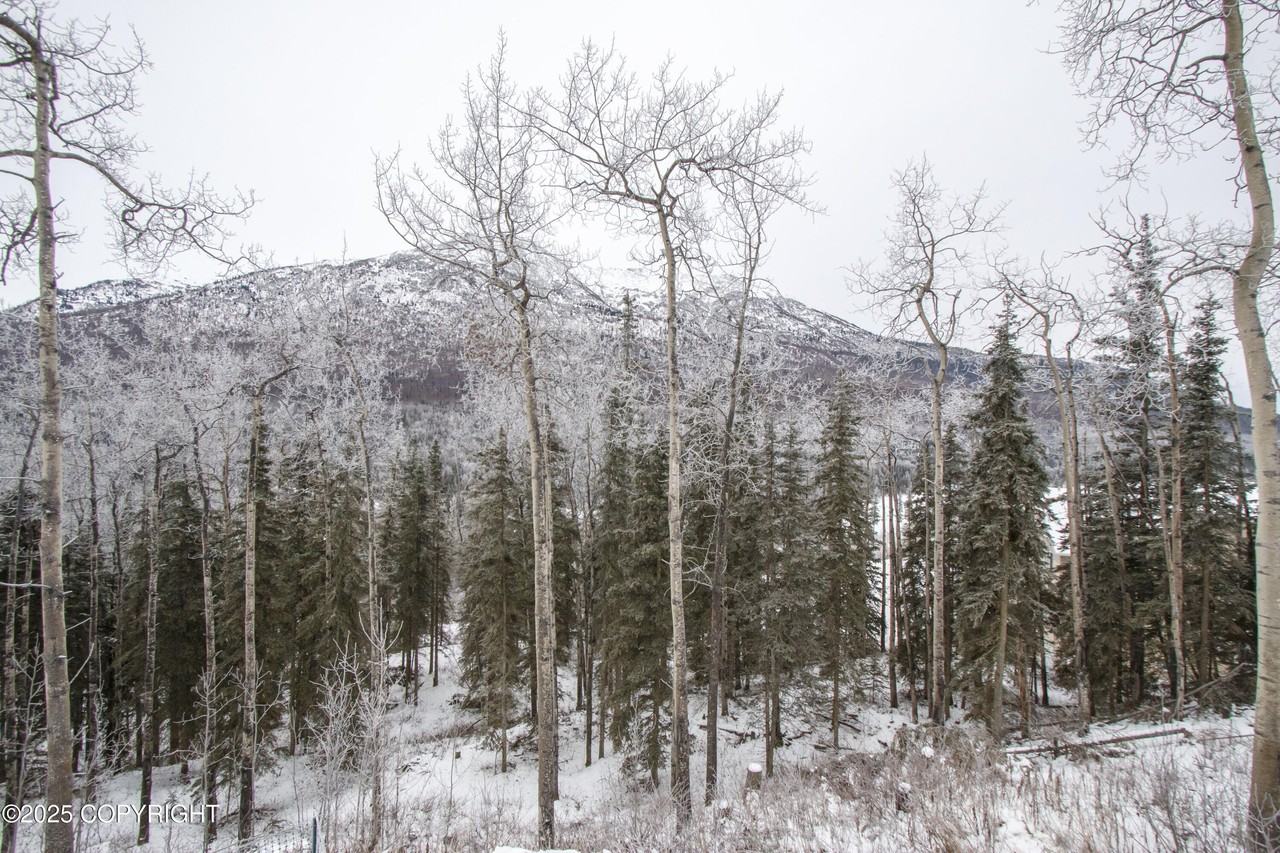 20436 Driftwood Bay Dr - Photo 4 of 22