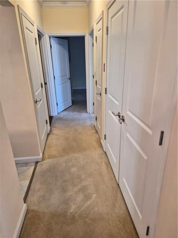 114 Granite St Unit 203 #203 - Photo 6 of 14