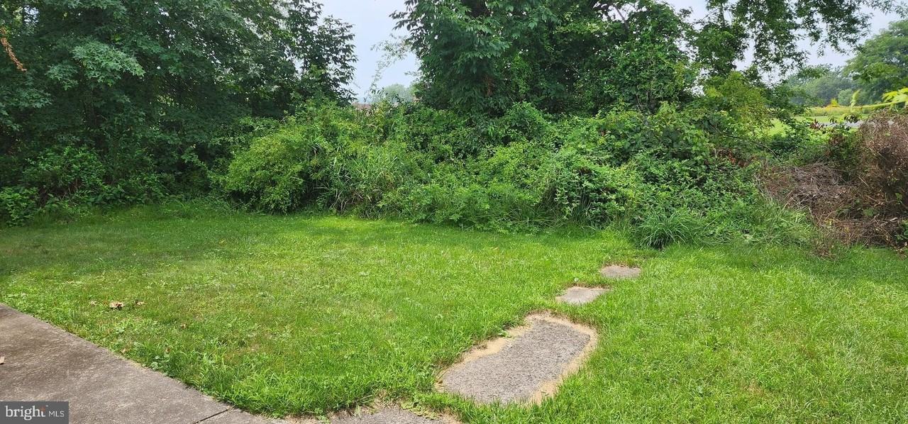 229 Berks St - Photo 3 of 13