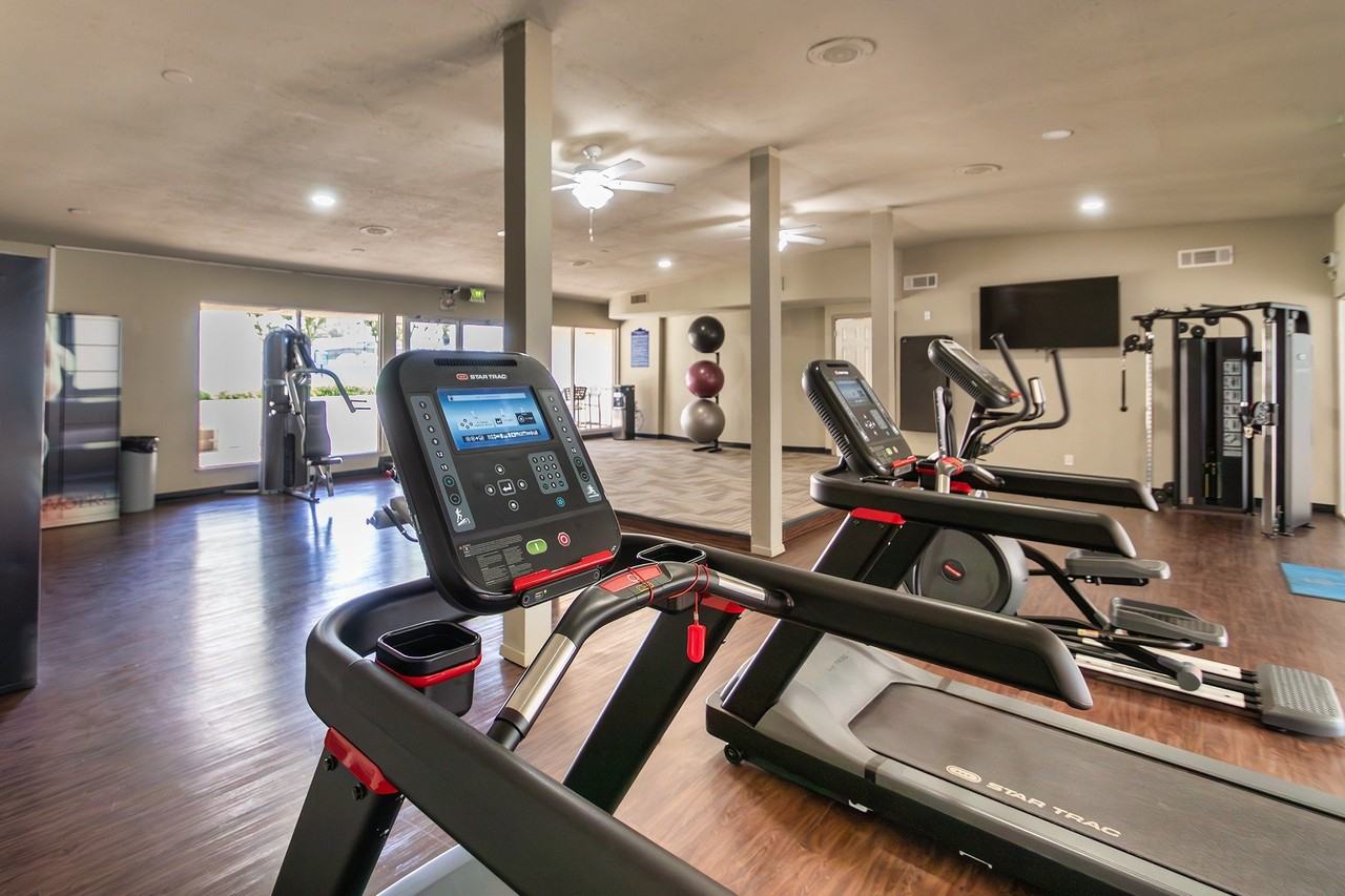 Harvard Square - Photo 5 of 18