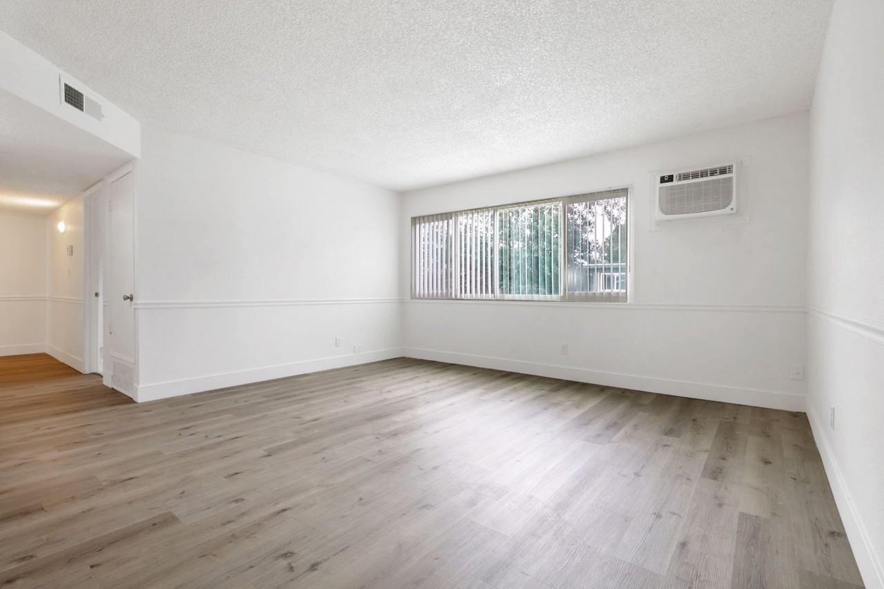 Vivleo - Photo 3 of 30