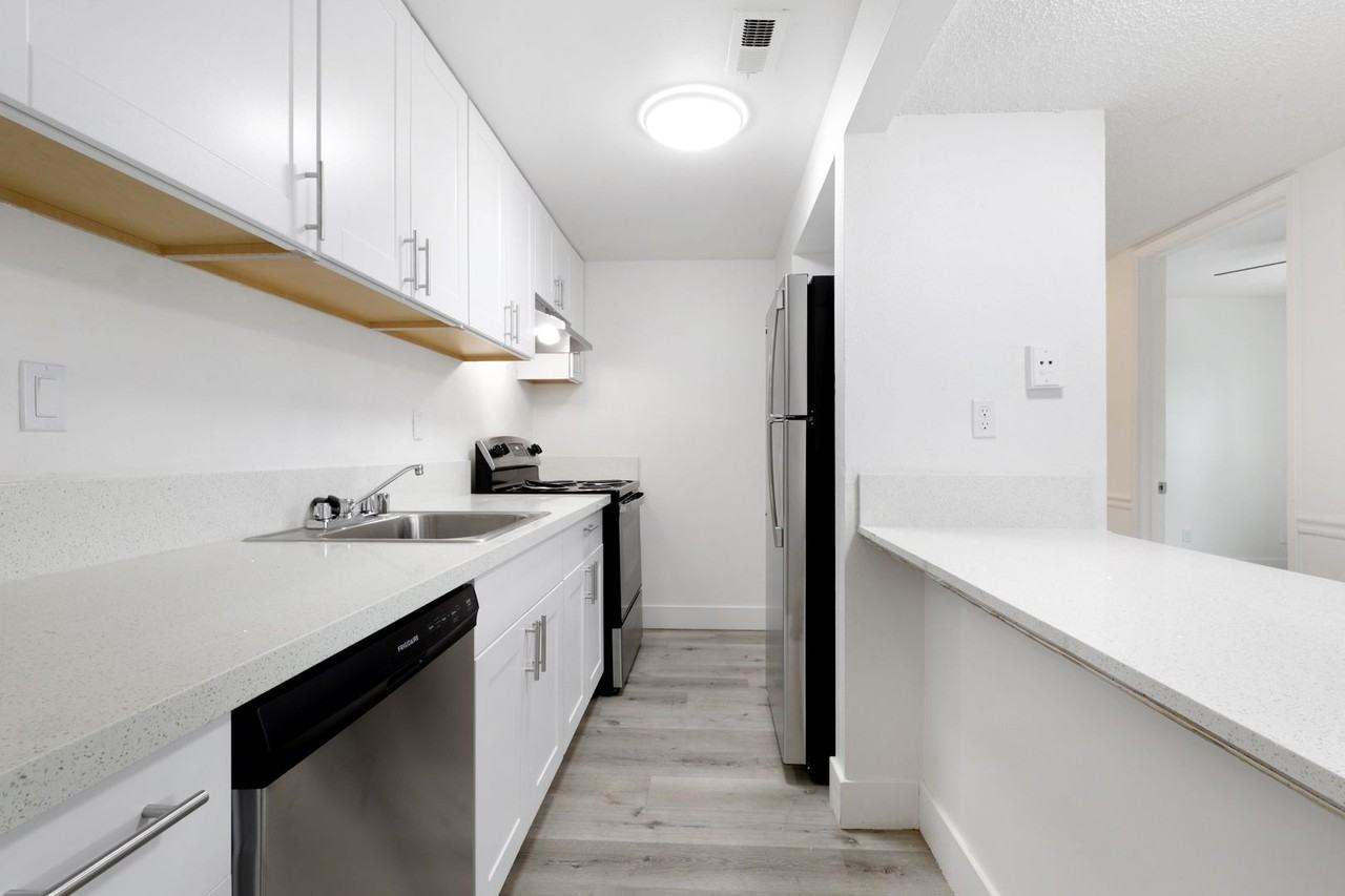 Vivleo - Photo 5 of 30