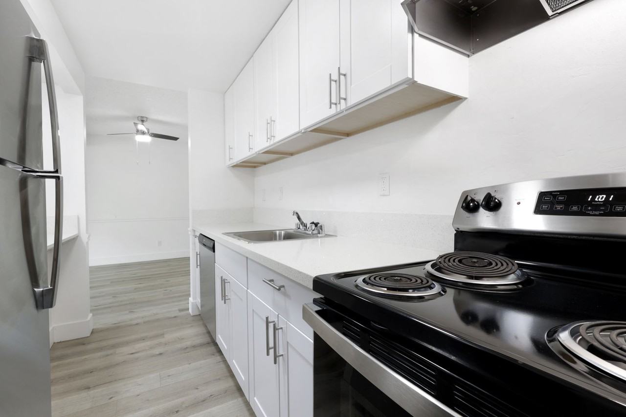 Vivleo - Photo 6 of 30