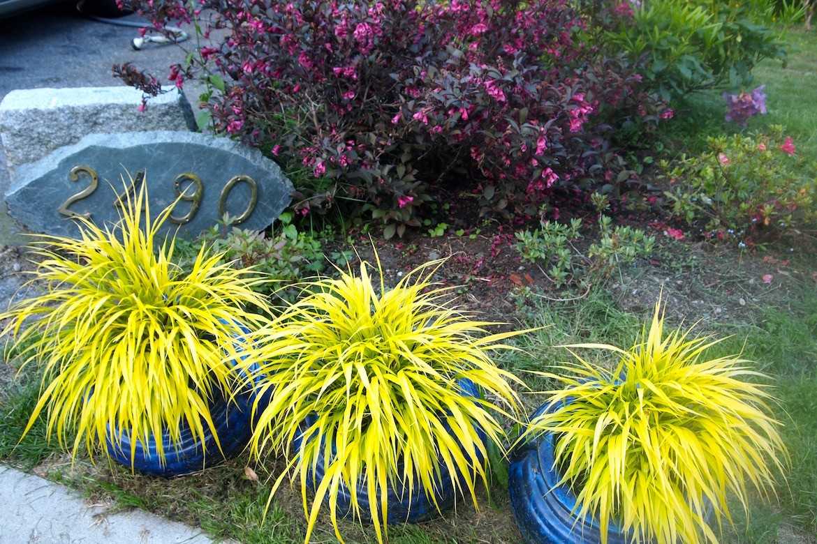 2490 Caledonia Avenue - Photo 2 of 65