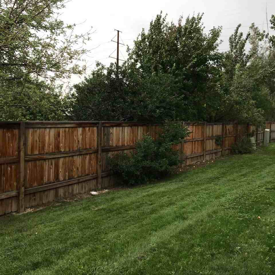 3106 Palm Ct. - Photo 2 of 28