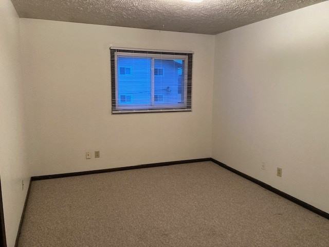 1802 W 38th St - Photo 3 of 8