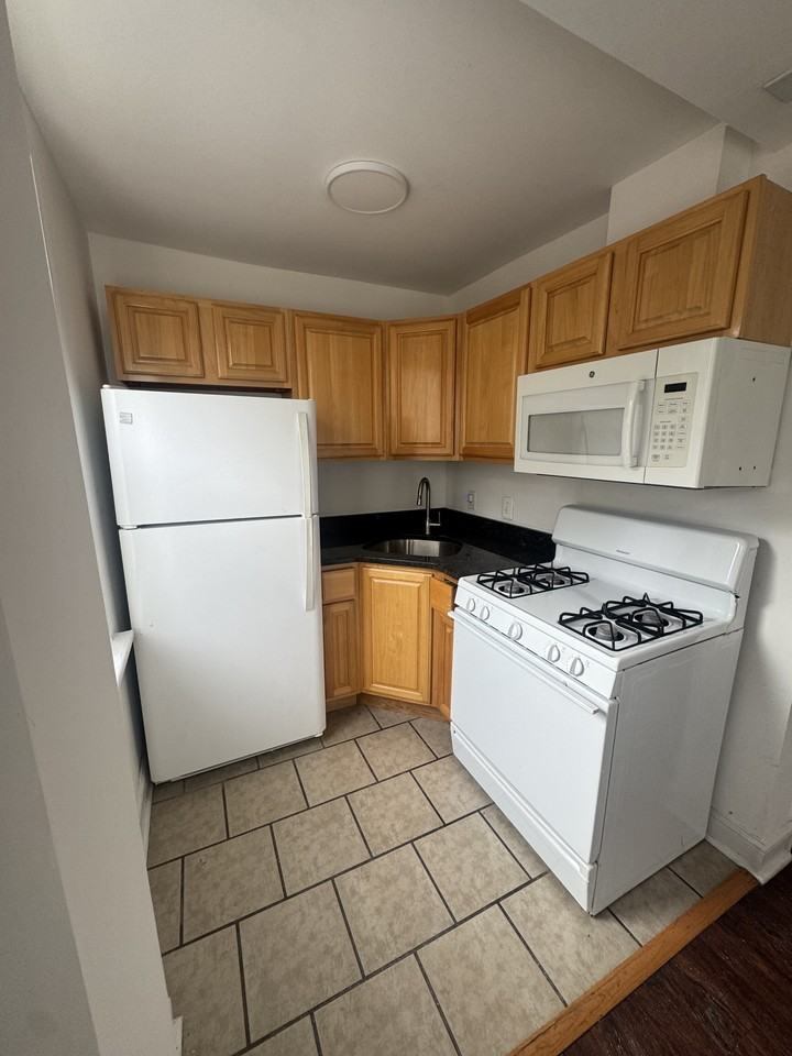 231-33 West Coulter Street - Photo 2 of 9