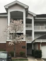 9123 Meadow Vista Rd - Photo 1 of 1