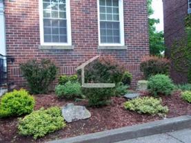 52 Rawson Rd - Photo 1 of 1