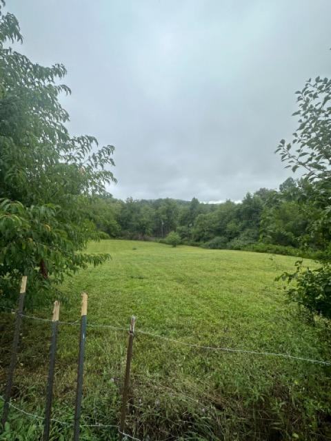 Yellow Sulphur Properties - Photo 3 of 3