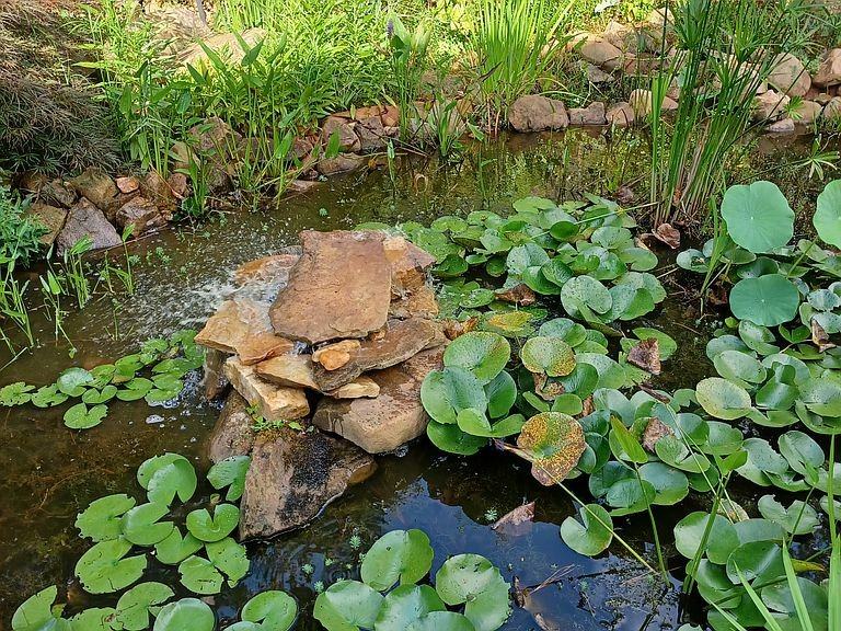 1348 Brandon Sq #NA - Photo 4 of 13