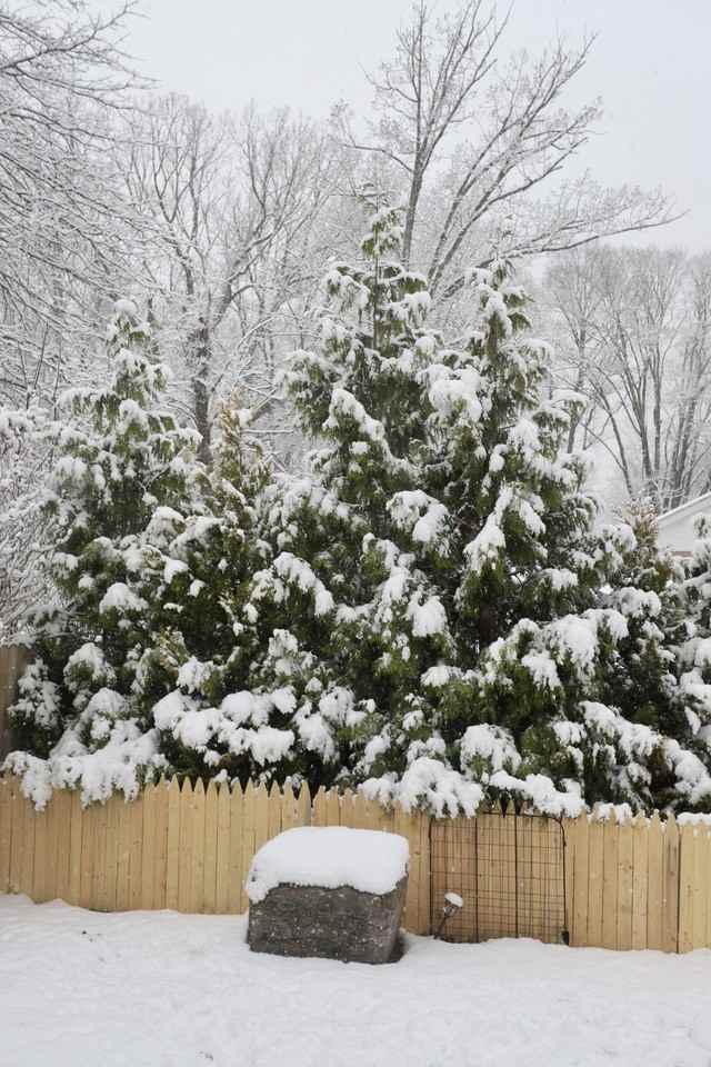 14 Sterling Pl #NA - Photo 2 of 42