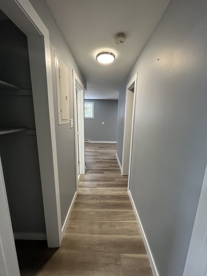 200 Spruce St #1 - Photo 5 of 7