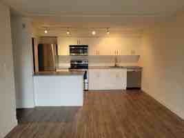 featured image of 2626 Cook Stunit 205 #205