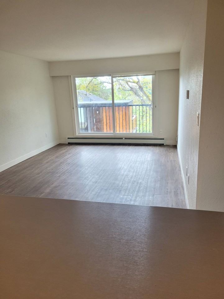 2626 Cook Stunit 205 #205 - Photo 7 of 9