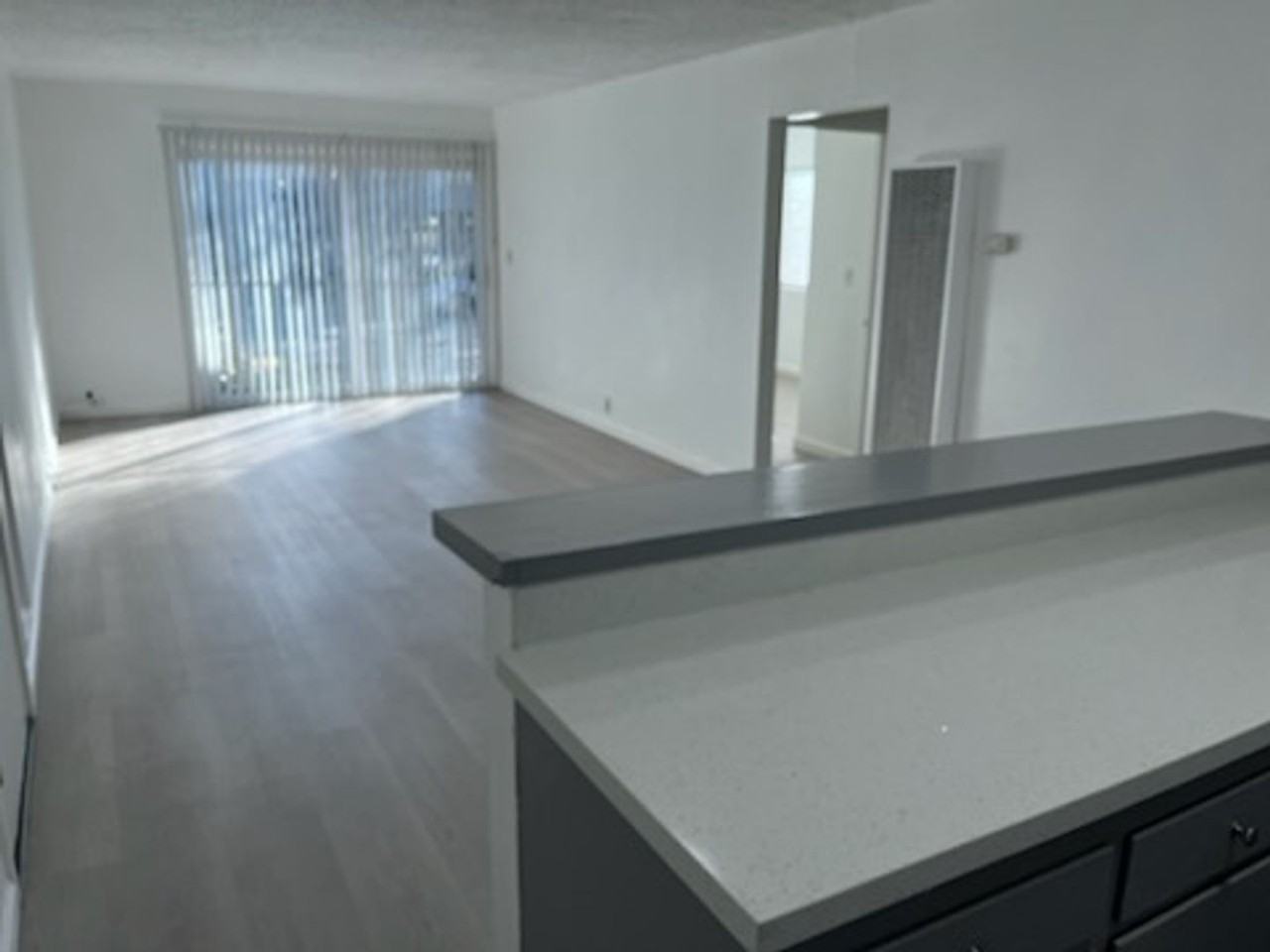 1737 Solano Ave #101 - Photo 2 of 7