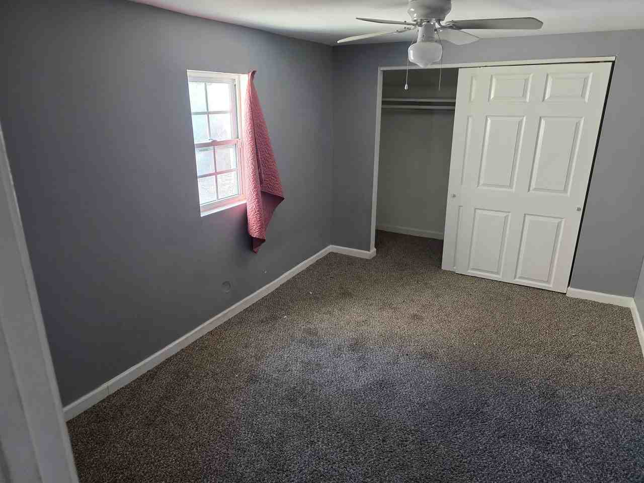 20 Judith St - Photo 7 of 9