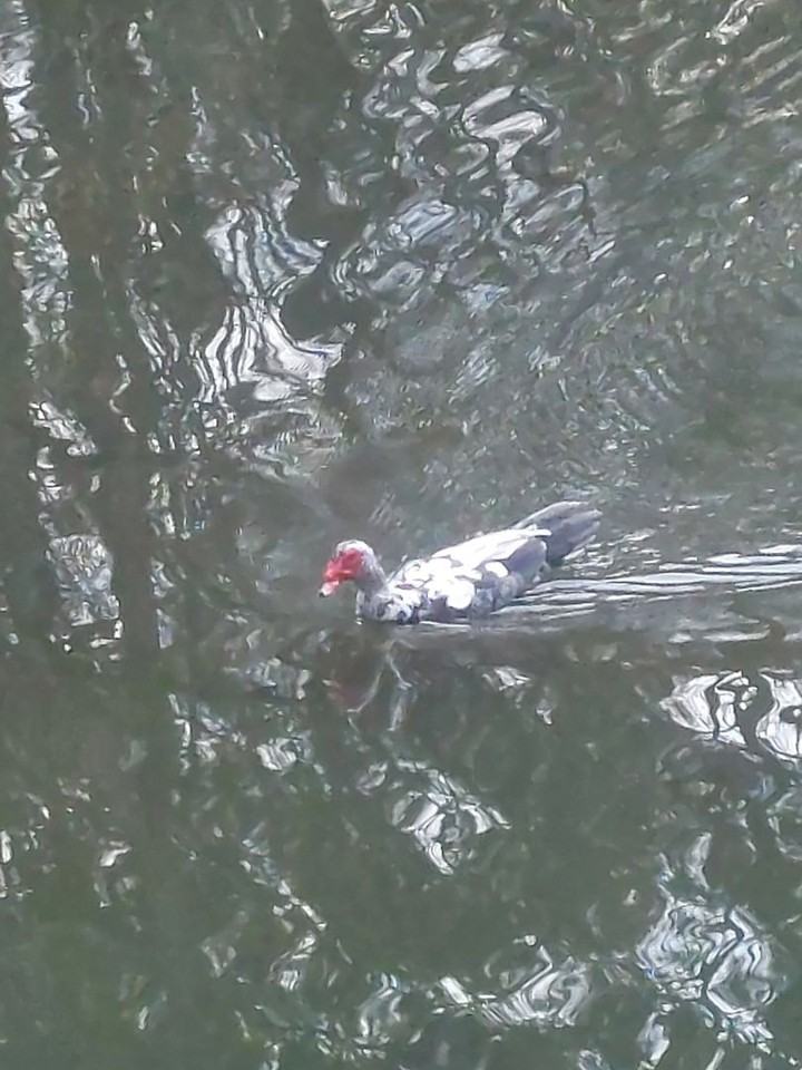 1428 Melody Dr - Photo 6 of 20