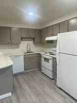 Tiki Apartments - Photo 1 of 1