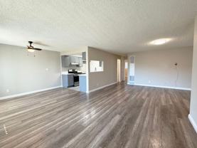 128Chap - Photo 1 of 1