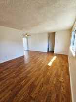 Graves - Photo 1 of 1