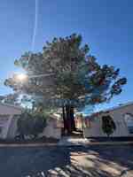 featured image of 950 Mormon Dr