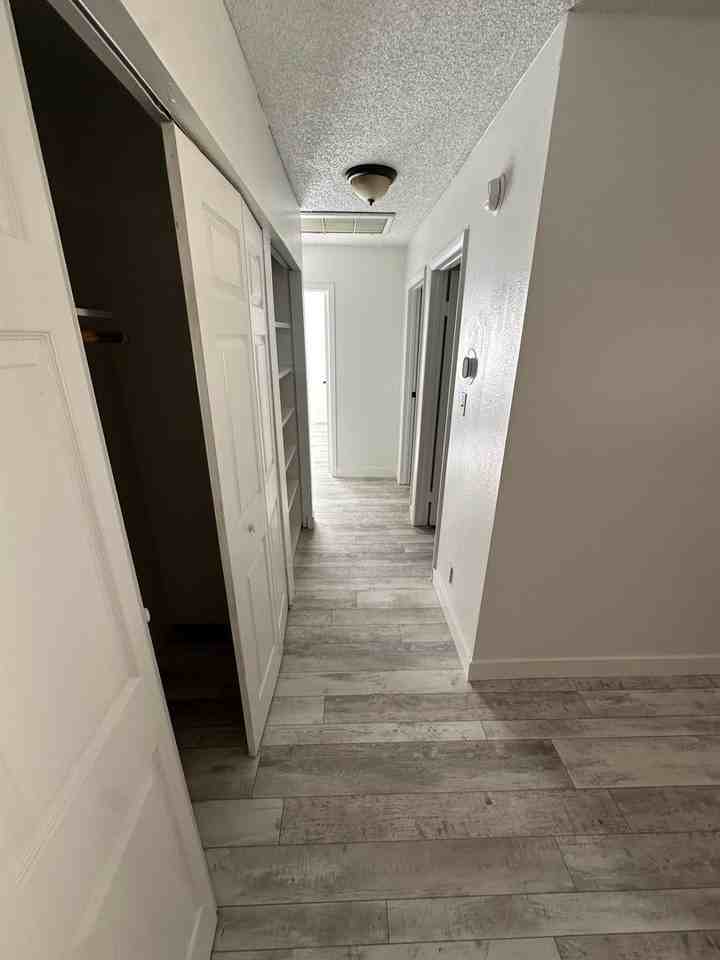 4364 Annie Oakley Dr - Photo 7 of 19