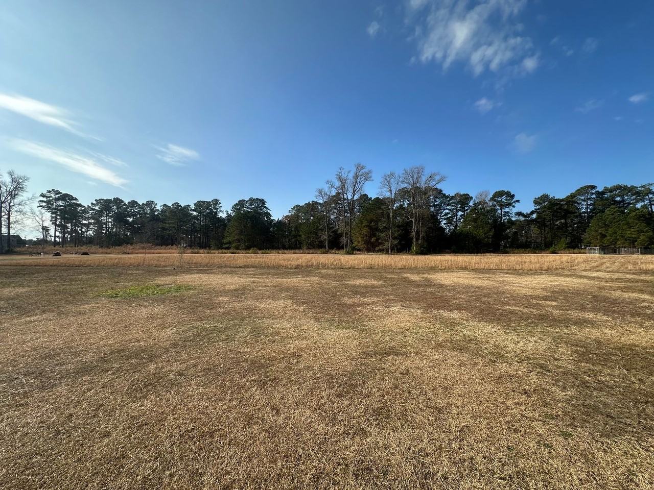 177 Piney Grove Baptist Ch Rd - Photo 6 of 29