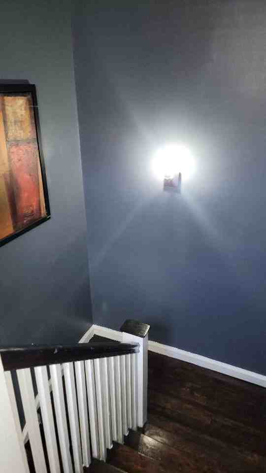 7703 Woolston Ave - Photo 7 of 13