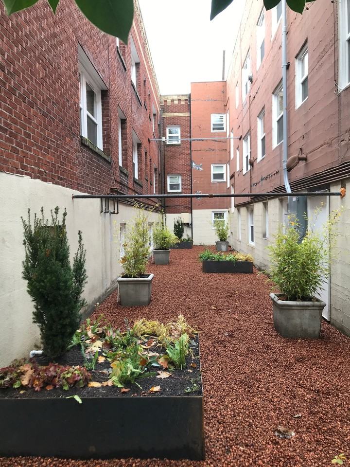 Vintage Apartments - Photo 3 of 4