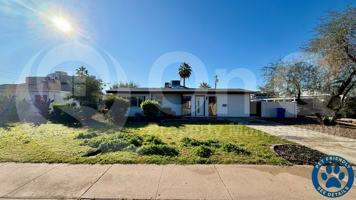 featured image of 1725 E Catalina Dr
