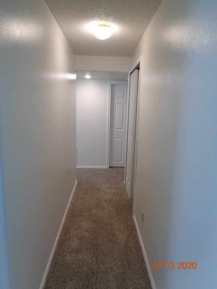 5628 Many Springs Dr - Photo 6 of 15