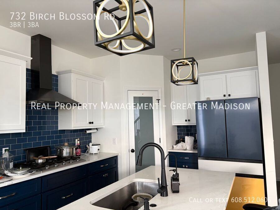 732 Birch Blossom Rd - Photo 4 of 16