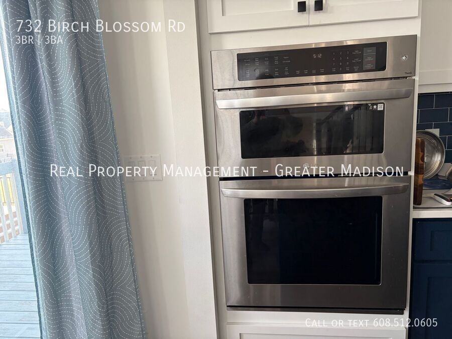 732 Birch Blossom Rd - Photo 5 of 16