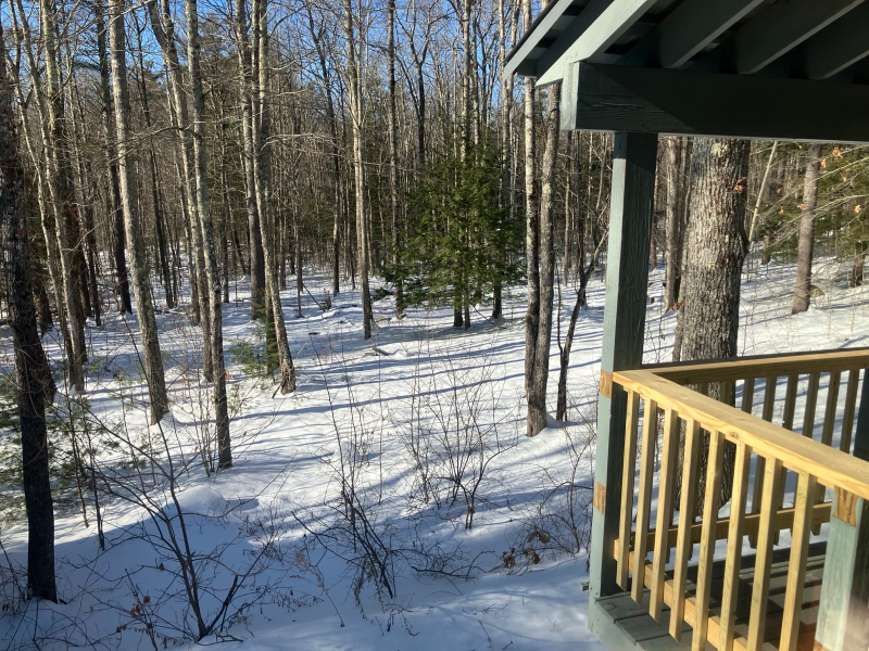 276 Birch Hill Rd - Photo 5 of 6