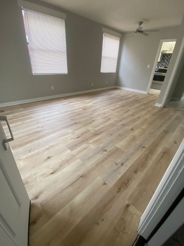 2979 Downing St #2 - Photo 7 of 8