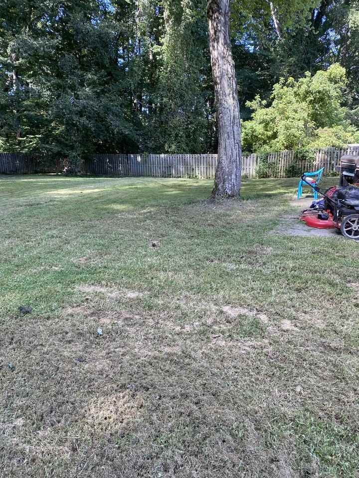 2212 Westwood Dr #NA - Photo 3 of 25