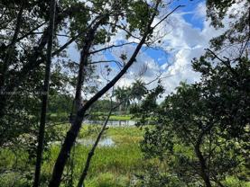 3817 Tree Top Dr #0 - Photo 1 of 1