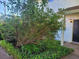 1464 Manzanita Avenue - Photo 1 of 1